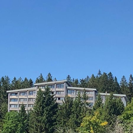 Panorama Bayerwald Apartment นอยไรเคเนา ภายนอก รูปภาพ