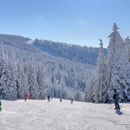 Panorama Bayerwald Apartment นอยไรเคเนา ภายนอก รูปภาพ