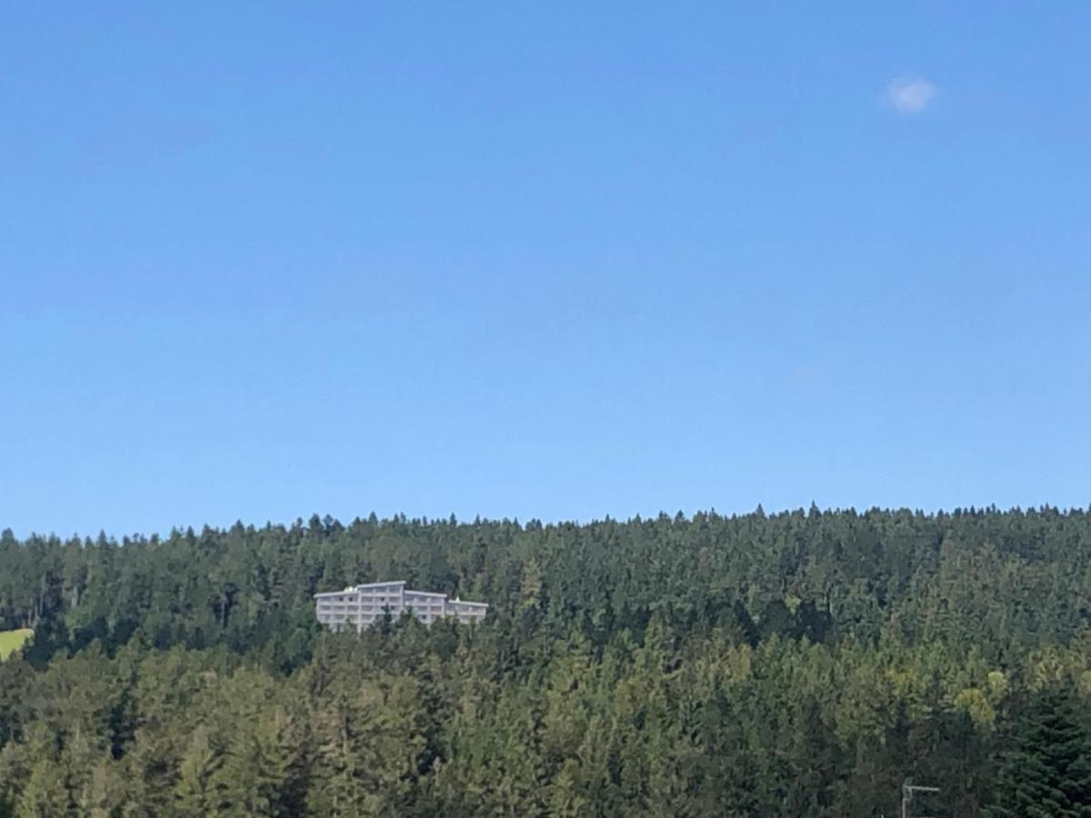Panorama Bayerwald Apartment นอยไรเคเนา ภายนอก รูปภาพ