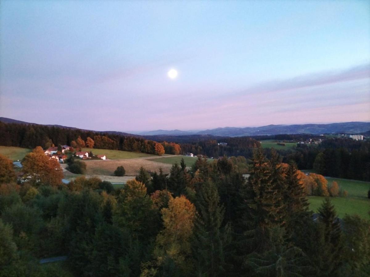 Panorama Bayerwald Apartment นอยไรเคเนา ภายนอก รูปภาพ